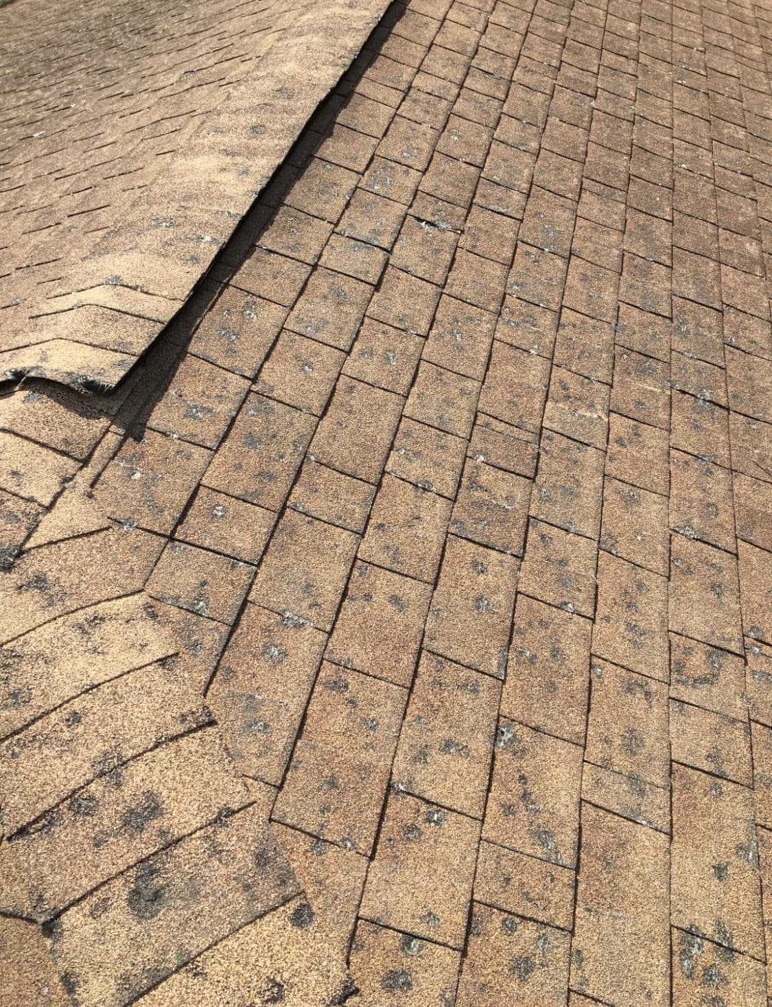 How to Tell Hail Damage from Wind Damage on Your Roof image