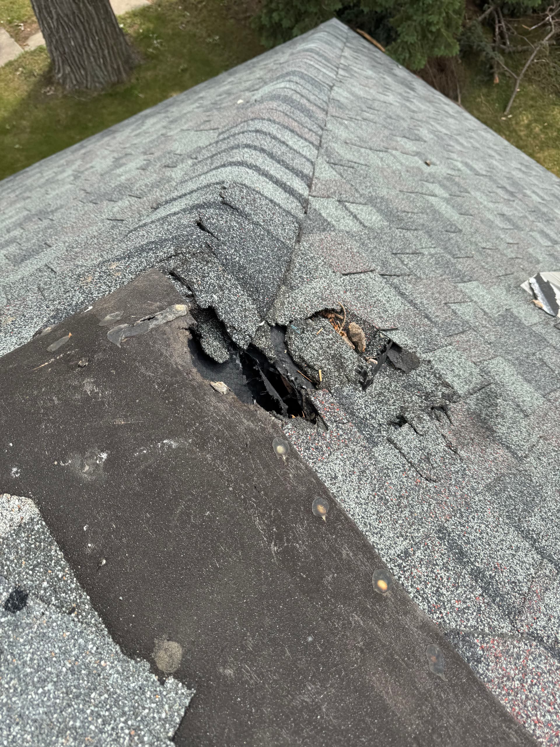 Gallery photos for Roof Damage That Can't Wait - North Dakota Roofing Inspection Finds Big Problems: Image #4