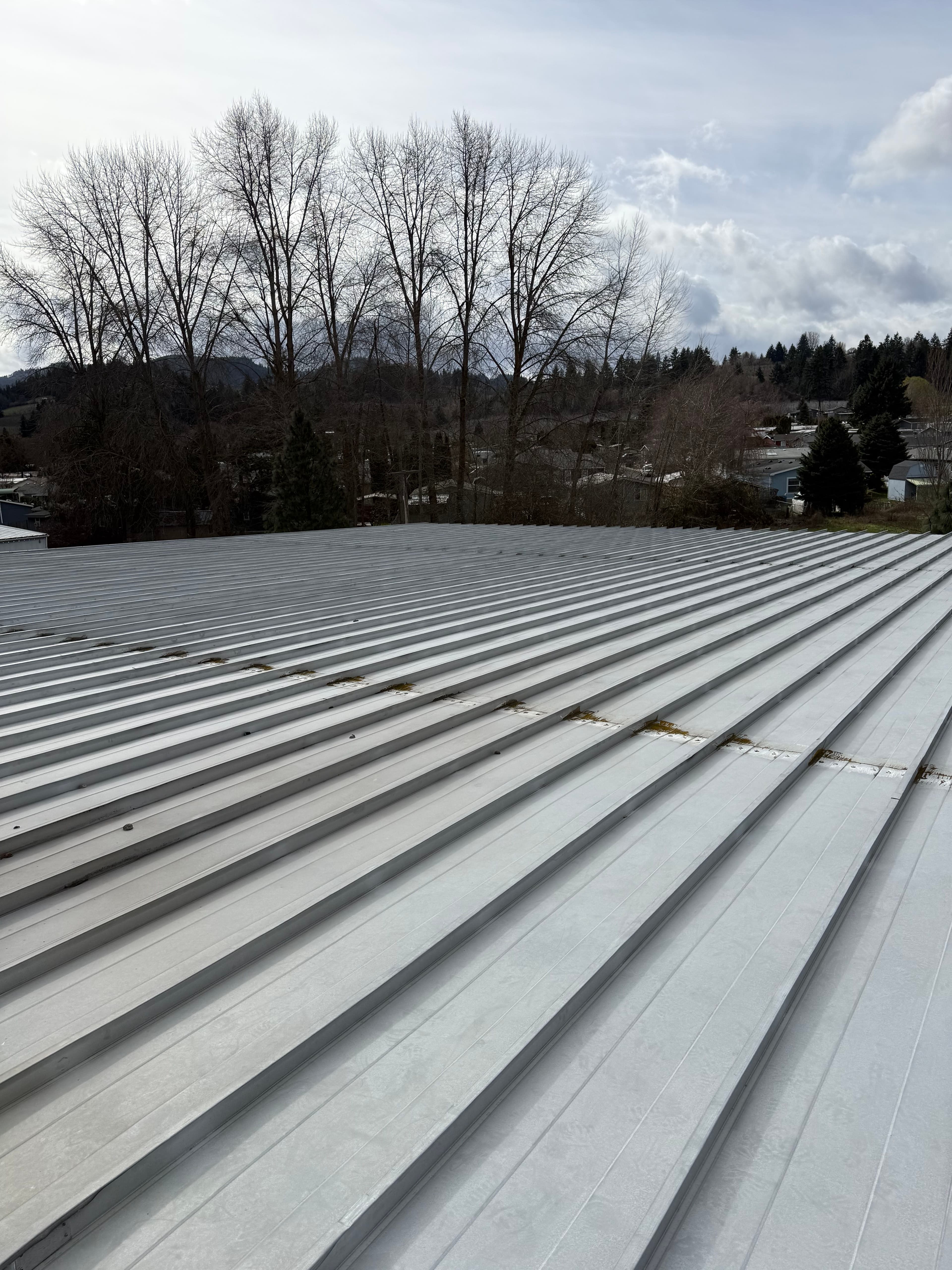 Project Routine Metal Roof Inspections Are Essential image